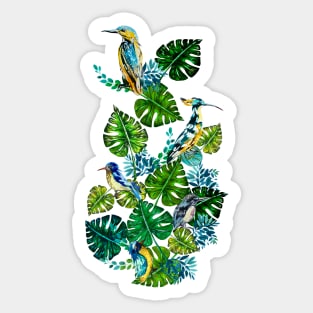 Birds on monstera plant leaves Sticker